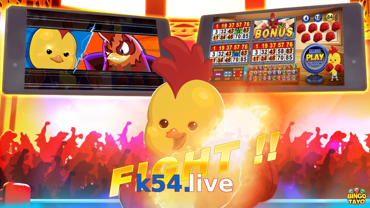 k54.live